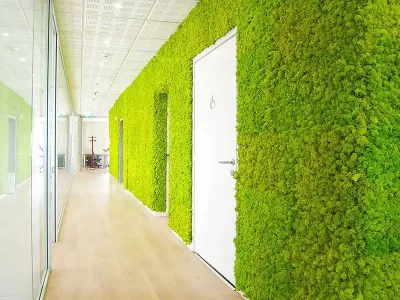 Muschio stabilizzato da parete MOSSwall&reg; - Pannelli verde stabilizzato  - MOSSwall&reg; Room Divider