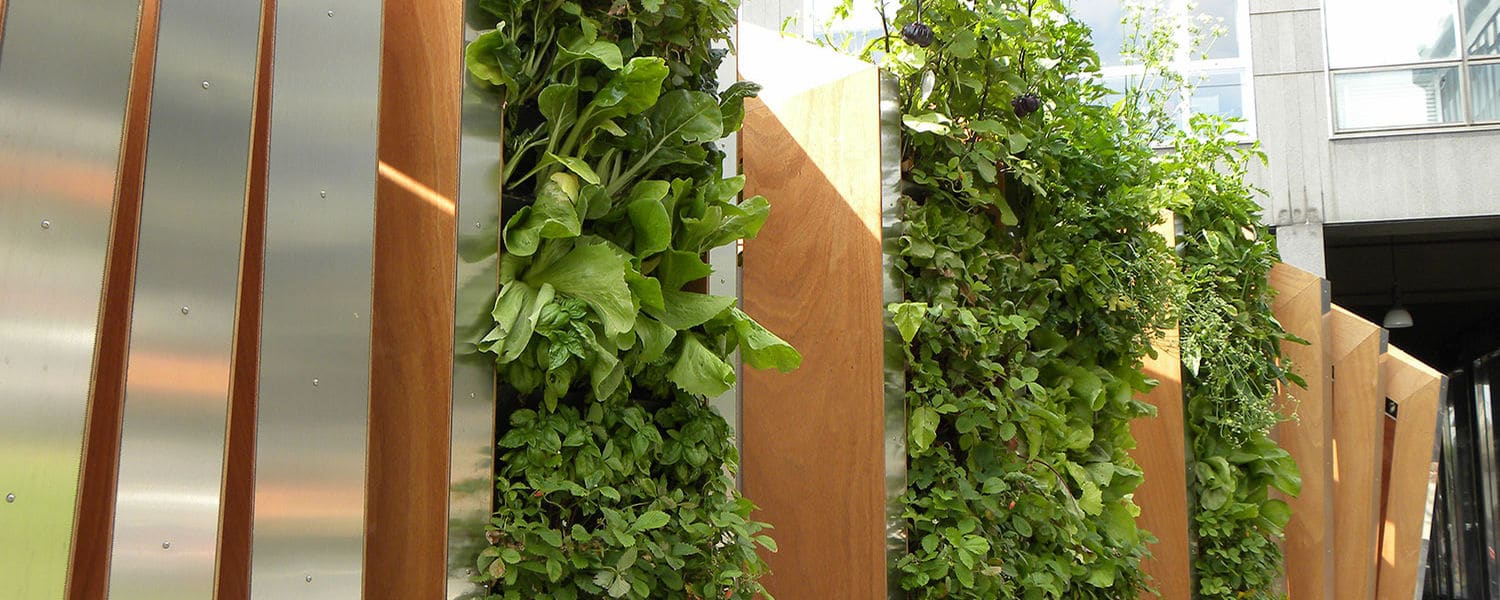 Orto da parete verticale decorativo