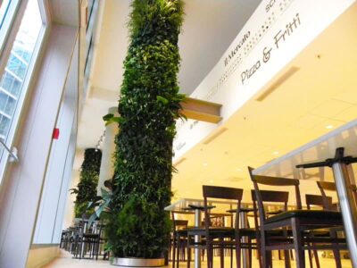  - Ristorante Pappa Food