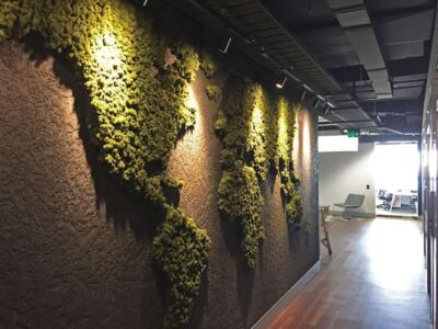Progettazione giardini per Uffici - Mappamondo MOSSwall&reg; per Casteldex