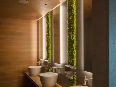 Casa green? Inizia da una parete verde stabilizzata, senza manutenzione