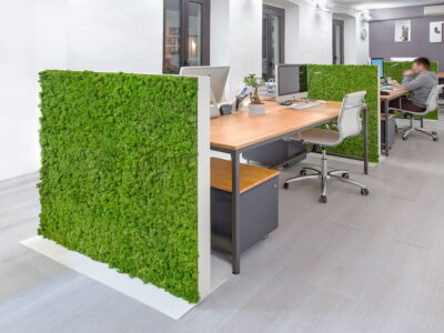 Muschio stabilizzato da parete MOSSwall&reg; - Pannelli verde stabilizzato  - MOSSwall&reg; Freestanding