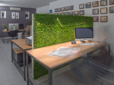 Muschio stabilizzato da parete MOSSwall&reg; - Pannelli verde stabilizzato  - Applique