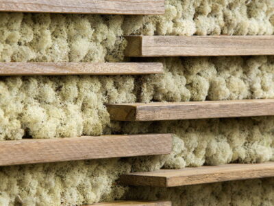 Muschio stabilizzato da parete MOSSwall&reg; - Pannelli verde stabilizzato  - Strips