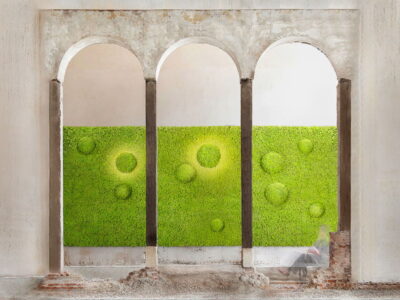 Muschio stabilizzato da parete MOSSwall&reg; - Pannelli verde stabilizzato  - Round