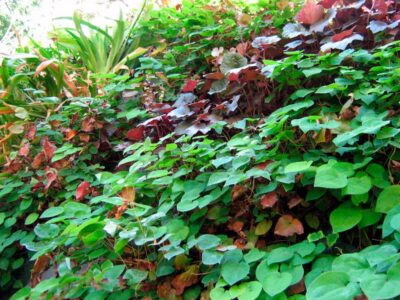  - Museo Triennale Milano