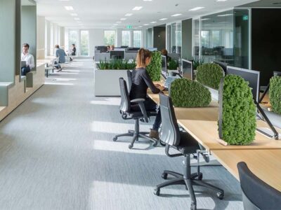 Verde Profilo®: l’azienda italiana che porta il verde nel futuro degli spazi