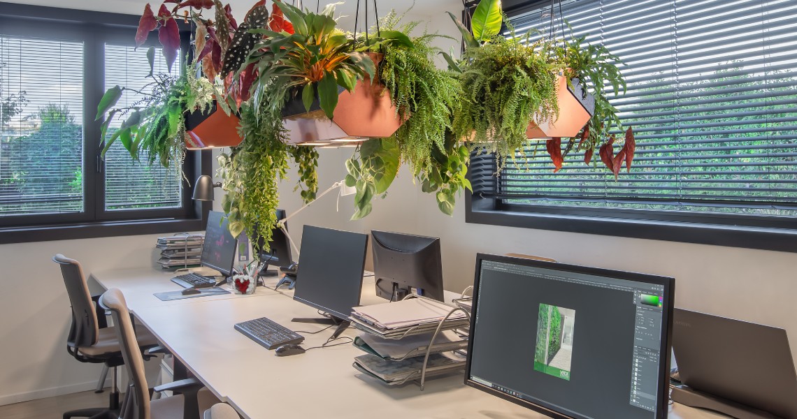 Download catalogs and brochures