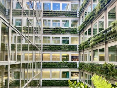 Muschio stabilizzato da parete MOSSwall&reg; - Pannelli verde stabilizzato  - Acea