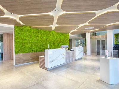 Muschio stabilizzato da parete MOSSwall&reg; - Pannelli verde stabilizzato  - Linea Verde