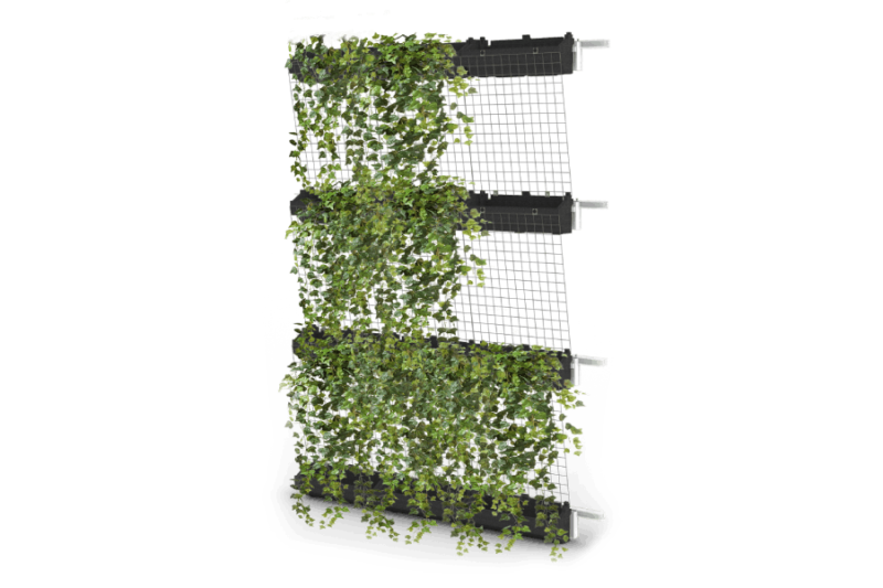 Giardino verticale rampicante \ ricadente