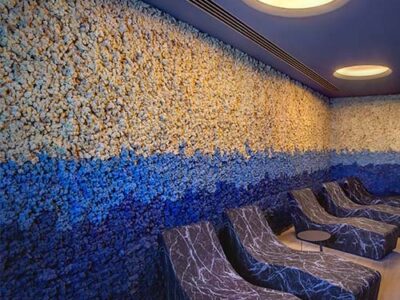 Muschio stabilizzato da parete MOSSwall&reg; - Pannelli verde stabilizzato  - Grand Hotel Victoria