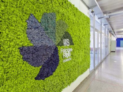 Muschio stabilizzato da parete MOSSwall&reg; - Pannelli verde stabilizzato  - Istituto Falcone Righi