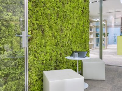 Muschio stabilizzato da parete MOSSwall&reg; - Pannelli verde stabilizzato  - MOSSwall&reg; Fusion