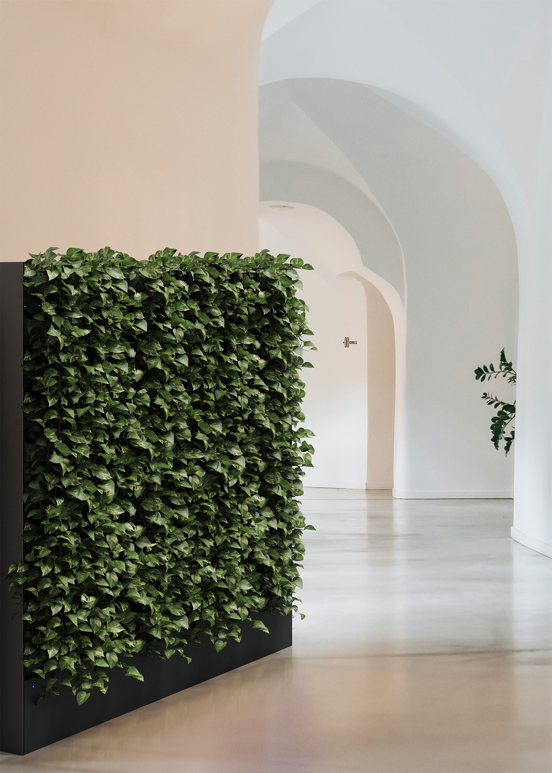 VP EASY SNG 240 HORECA