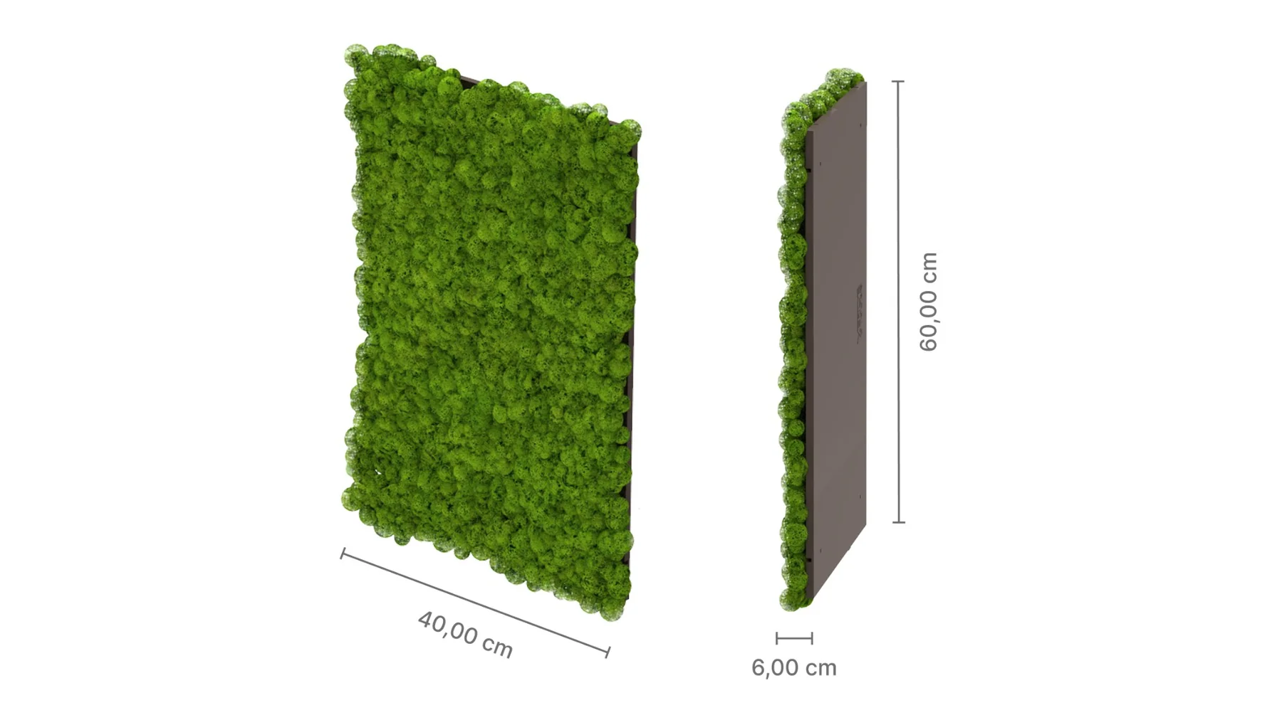 Pannello MOSSwall® MW01 in muschio stabilizzato, 60 × 40 cm, spessore 6 cm