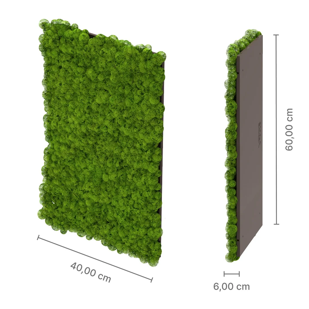 Pannello MOSSwall® MW01 in muschio stabilizzato, 60 × 40 cm, spessore 6 cm