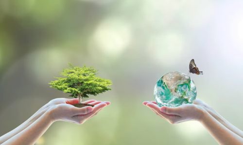 BIODIVERSITA-PERCHE-E-COME-SALVAGUARDARLA