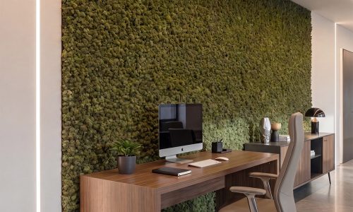 Biophilic-Office-1