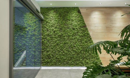 Il-verde-nell’interior-design--come-scegliere-la-tonalità-giusta-e-trasformare-l’atmosfera