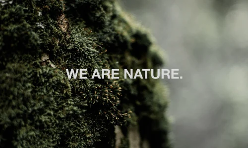 Progettare secondo natura- come integrare il verde negli spazi e migliorare il comfort