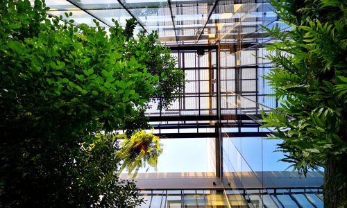 etaam-ba-hgHT5M7NUI0-unsplash-scaled