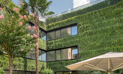 piante_antirumore-e1715691898188